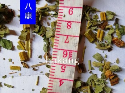 仙鹤草 统图3