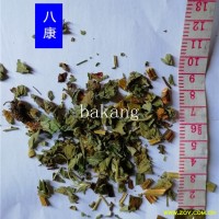 仙鹤草 统