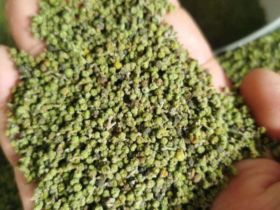 吴茱萸 吴茱萸小花新货 颜色青 气味浓郁 地道药材   产地 江西省图1