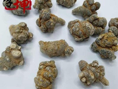 【包邮】三七60头（1kg价）60头以内 水洗不打蜡 云南文山产 田七【满188包包邮】图3