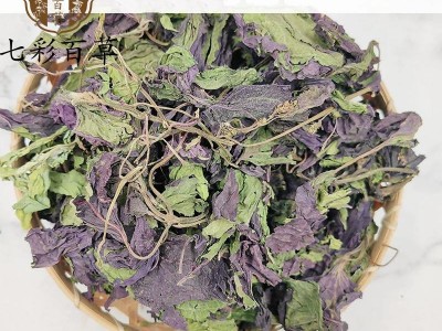 紫苏叶 精选紫苏叶 产地 山东省图4
