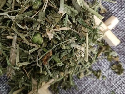 透骨草 珍珠透骨草 纯青 新货 产地 山东省图4