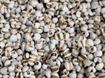 【精品小粒薏苡仁98米】@【同欢药材】中药材批发供应  规格齐全 量大从优 产地 贵州省图3