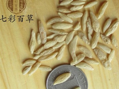 麦冬 川麦冬统货 产地 四川省 产地货源 量大从优图3