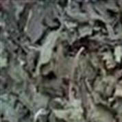 墨旱莲 万信药业！旱莲草选段 无杂质 颜色新鲜 产地 山东省图3