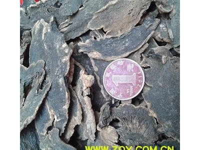 元参 万信药业 玄参斜片大统片 产地 河南省图2
