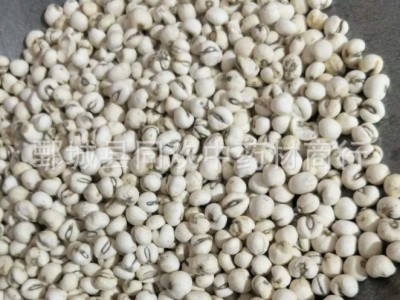 【平贝母 磨砂平贝母怀中抱月】@【同欢药材】中药材批发供应  规格齐全 量大从优 产地 辽宁省图3