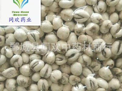 【平贝母 磨砂平贝母怀中抱月】@【同欢药材】中药材批发供应  规格齐全 量大从优 产地 辽宁省图1