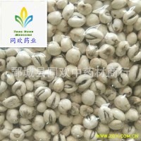 【平贝母 磨砂平贝母怀中抱月】@【同欢药材】中药材批发供应  规格齐全 量大从优 产地 辽宁省