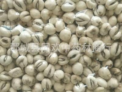 【平贝母 磨砂平贝母怀中抱月】@【同欢药材】中药材批发供应  规格齐全 量大从优 产地 辽宁省图2