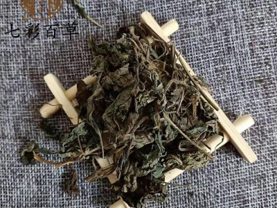 紫苏 苏叶  紫苏叶 产地 山东省图2