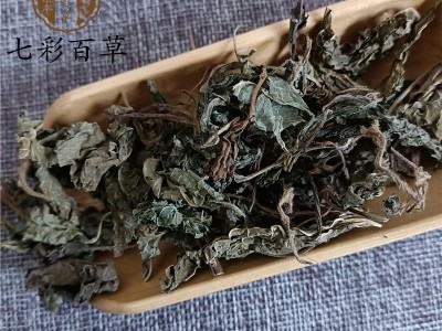 紫苏 苏叶  紫苏叶 产地 山东省图3