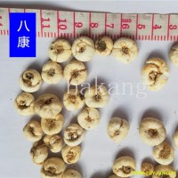 平贝母 平01统 产地 吉林省通化市柳河县