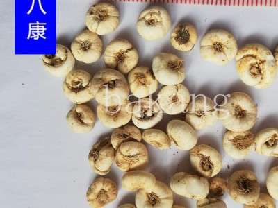 平贝母 平01统 产地 吉林省通化市柳河县图2
