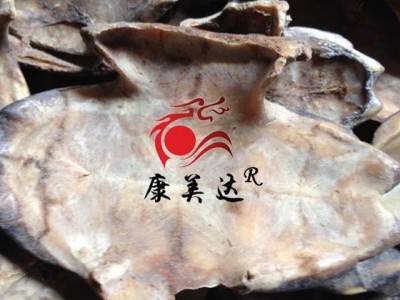龟甲 旱龟板选货  正品龟板草龟板  实物如主图 净龟板 产地 湖北省宜昌市兴山县图4