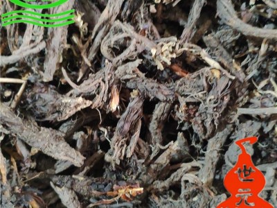 世元药业 甘松根  去草净根药效佳 甘松香 香松 甘香松图2