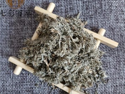 绵茵陈 除尘茵陈选货 产地 河南省图3