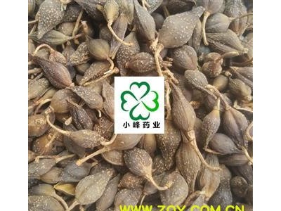 连翘 连翘水煮（汽蒸）统货 颜色好 新货 产地 山西省图2