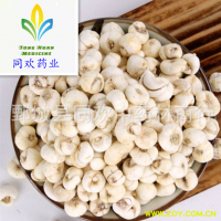 【小中粒平贝母 怀中抱月】@【同欢药材】中药材批发供应  规格齐全 量大从优 产地 吉林省