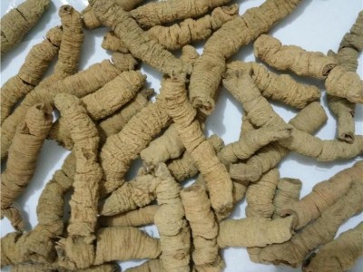 巴戟天 手选货  纯大个  产地 广东省肇庆市德庆县图4