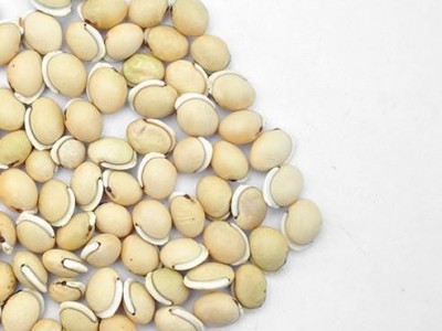 白扁豆 云南白扁豆统货 新店上线 货好价优图2