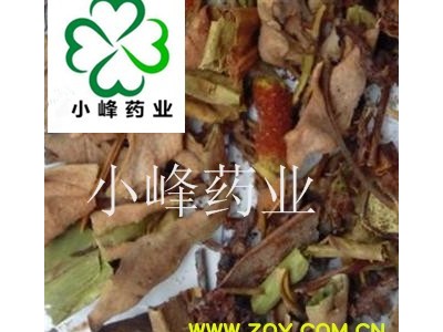 石韦 小叶 石伟 新货  产地 云南省图2