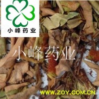 石韦 小叶 石伟 新货  产地 云南省