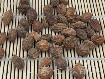 精品益智仁  益智 颗粒饱满 气味大 产地 广西壮族自治区图3