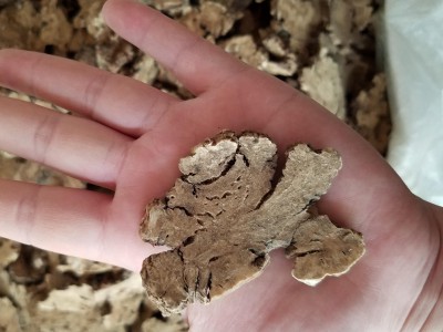 【满包邮】川芎 大片无硫气味足 干货无碎渣 精品好药尽在七彩百草图3