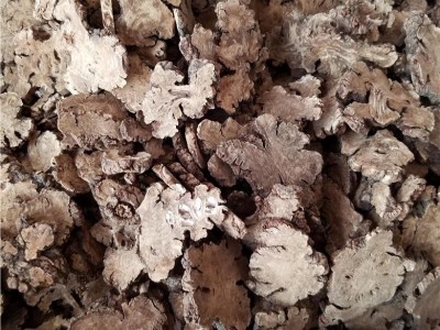 【满包邮】川芎 大片无硫气味足 干货无碎渣 精品好药尽在七彩百草图2