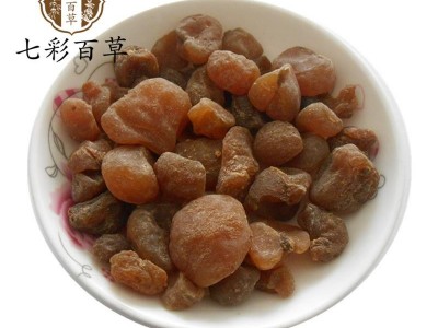 土贝母 选货土贝母 产地 河北省 多种规格 大货供应 七彩百草中药材批发图2