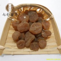 土贝母 选货土贝母 产地 河北省 多种规格 大货供应 七彩百草中药材批发