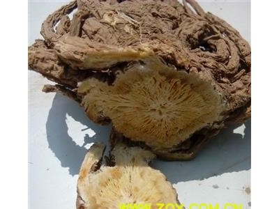 当归全当归无硫大条精选十支归岷归甘肃省陇南市宕昌县图4