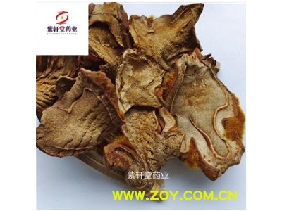 金毛狗脊 狗脊 统货 产地 广西 地道药材图1