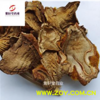 金毛狗脊 狗脊 统货 产地 广西 地道药材