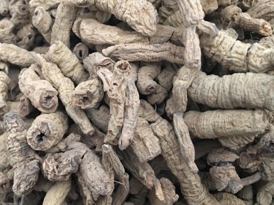 巴戟肉 巴戟天抽芯 统货 过筛去泥沫 颜色好 产地 广东省图2