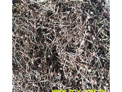 白花蛇舌草 新货！蛇草 精品货 筛粉无杂质 今年新货产地 江西省图1