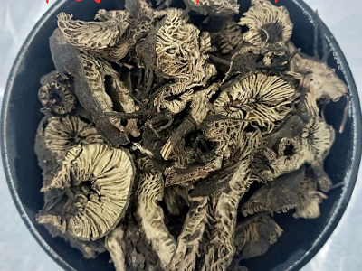 升麻 升麻选货 产地 辽宁省图2