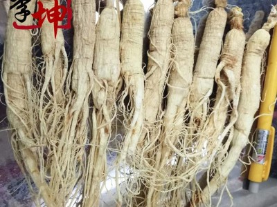 【人参特惠】人参 散称45支左右无硫（500g）吉林产  颜色好 肉质饱满 42-48支 白参【良心经营 品种齐全】图2