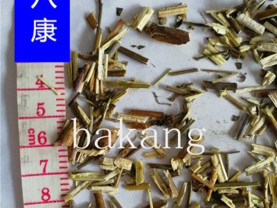 荆芥 统 产地 河北省保定市安国市图3