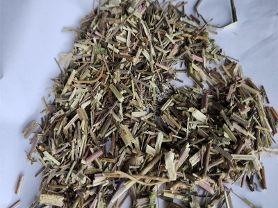 荆芥 统 产地 河北省保定市安国市图2