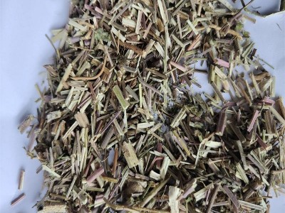 荆芥 统 产地 河北省保定市安国市图1