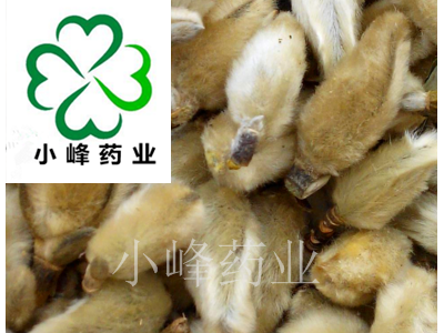 辛夷 辛夷花 选货 实物拍摄 新货 颜色好 干 产地 河南省图2