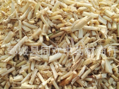 【白茅根】@【同欢药材】中药材批发供应  规格齐全 量大从优  产地 山东省图2