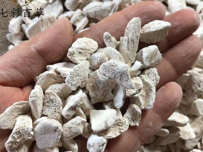 龙骨 龙骨颗粒 产地 甘肃省 多种规格大货供应 七彩百草中药材图4