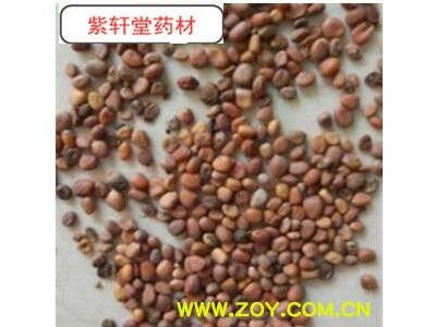生莱菔子水洗  干净无杂质 选  地道药材图2