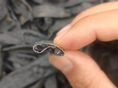 水蛭 清水吊干水蛭 玻璃样断面无加重净货 产地 海外图2