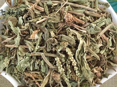 车前草 车前草新货 产地 山东省图2