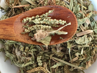 车前草 车前草新货 产地 山东省图3