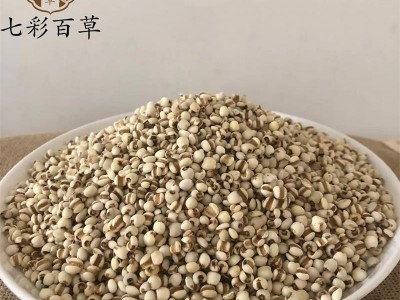薏苡仁 薏仁 薏米仁 小薏米 95米新货产地 贵州省图3